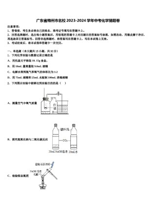广东省梅州市名校2023-2024学年中考化学猜题卷含解析.doc