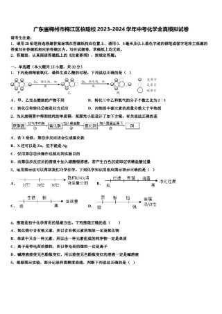 广东省梅州市梅江区伯聪校2023-2024学年中考化学全真模拟试卷含解析.doc