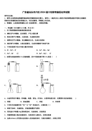 广东省汕头市六校2024届十校联考最后化学试题含解析.doc