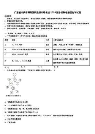 广东省汕头市潮阳区铜盂镇市级名校2024届十校联考最后化学试题含解析.doc