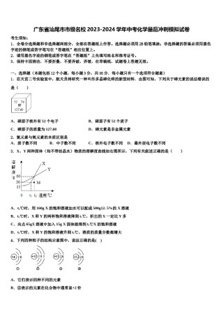 广东省汕尾市市级名校2023-2024学年中考化学最后冲刺模拟试卷含解析.doc