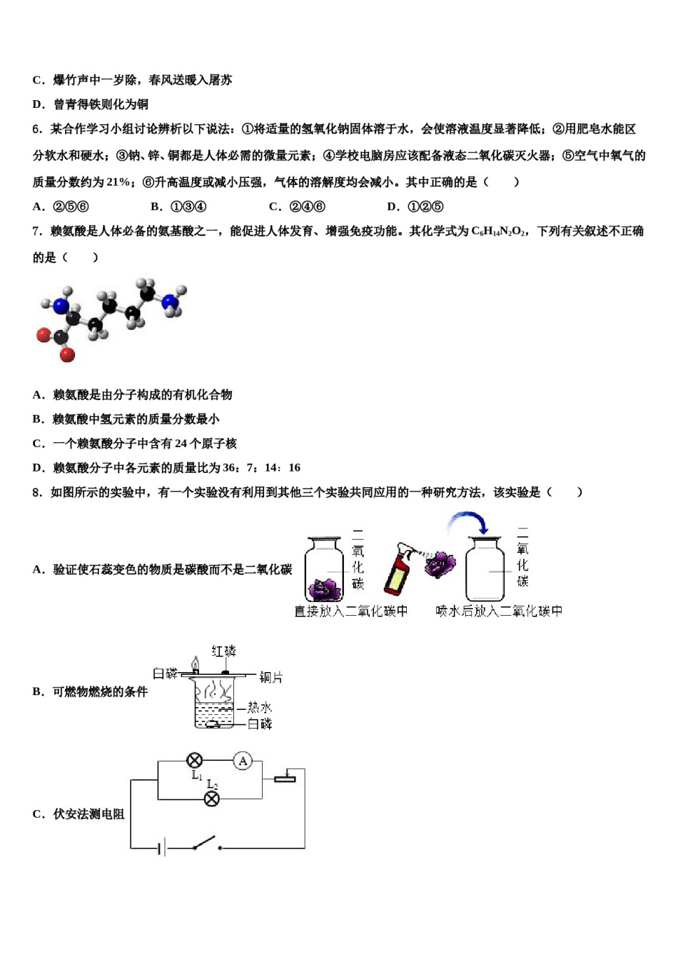 广东省深圳市南山区实验教育集团重点中学2024届中考试题猜想化学试卷含解析.doc_第2页