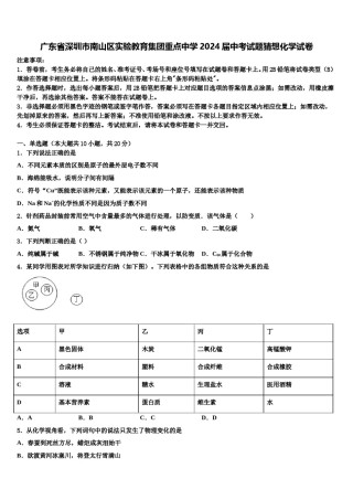 广东省深圳市南山区实验教育集团重点中学2024届中考试题猜想化学试卷含解析.doc