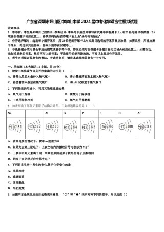 广东省深圳市坪山区中学山中学2024届中考化学适应性模拟试题含解析.doc