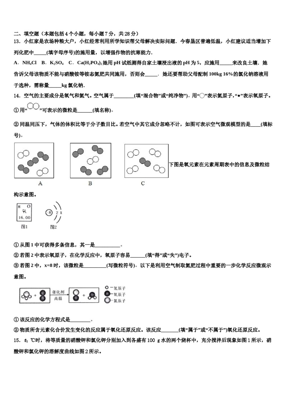 广东省深圳市大鹏新区2024年中考二模化学试题含解析.doc_第3页