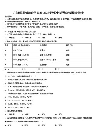 广东省深圳市海韵中学2023-2024学年初中化学毕业考试模拟冲刺卷含解析.doc