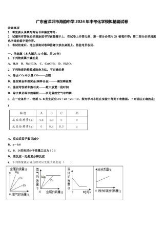 广东省深圳市海韵中学2024年中考化学模拟精编试卷含解析.doc