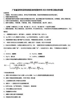 广东省深圳市深圳龙岗区龙岭初级中学2024年中考三模化学试题含解析.doc