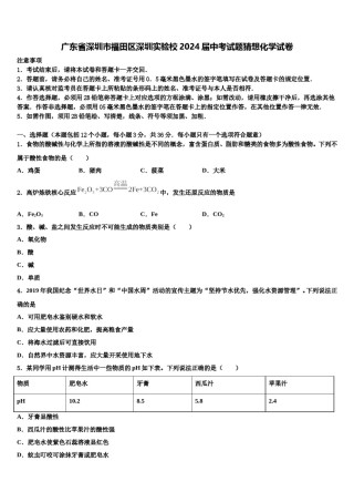 广东省深圳市福田区深圳实验校2024届中考试题猜想化学试卷含解析.doc