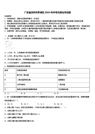 广东省深圳市罗湖区2024年中考五模化学试题含解析.doc