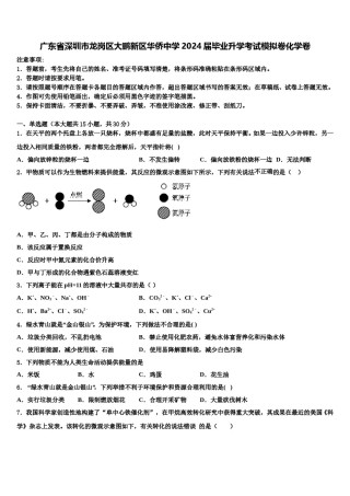 广东省深圳市龙岗区大鹏新区华侨中学2024届毕业升学考试模拟卷化学卷含解析.doc