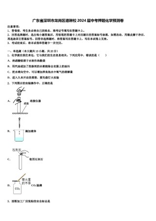 广东省深圳市龙岗区德琳校2024届中考押题化学预测卷含解析.doc
