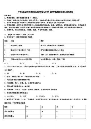 广东省深圳市龙岗实验中学2024届中考试题猜想化学试卷含解析.doc