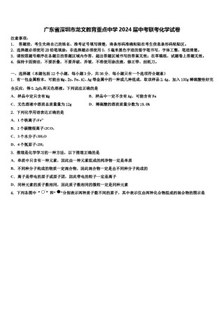 广东省深圳市龙文教育重点中学2024届中考联考化学试卷含解析.doc