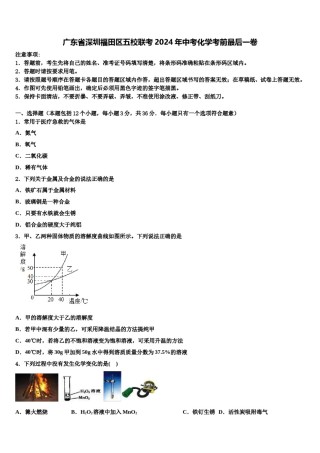 广东省深圳福田区五校联考2024年中考化学考前最后一卷含解析.doc