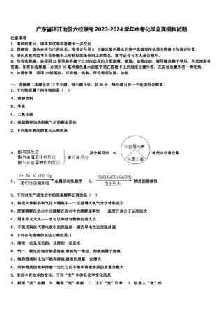 广东省湛江地区六校联考2023-2024学年中考化学全真模拟试题含解析.doc