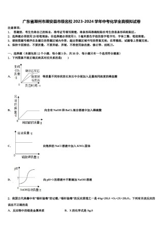 广东省潮州市潮安县市级名校2023-2024学年中考化学全真模拟试卷含解析.doc