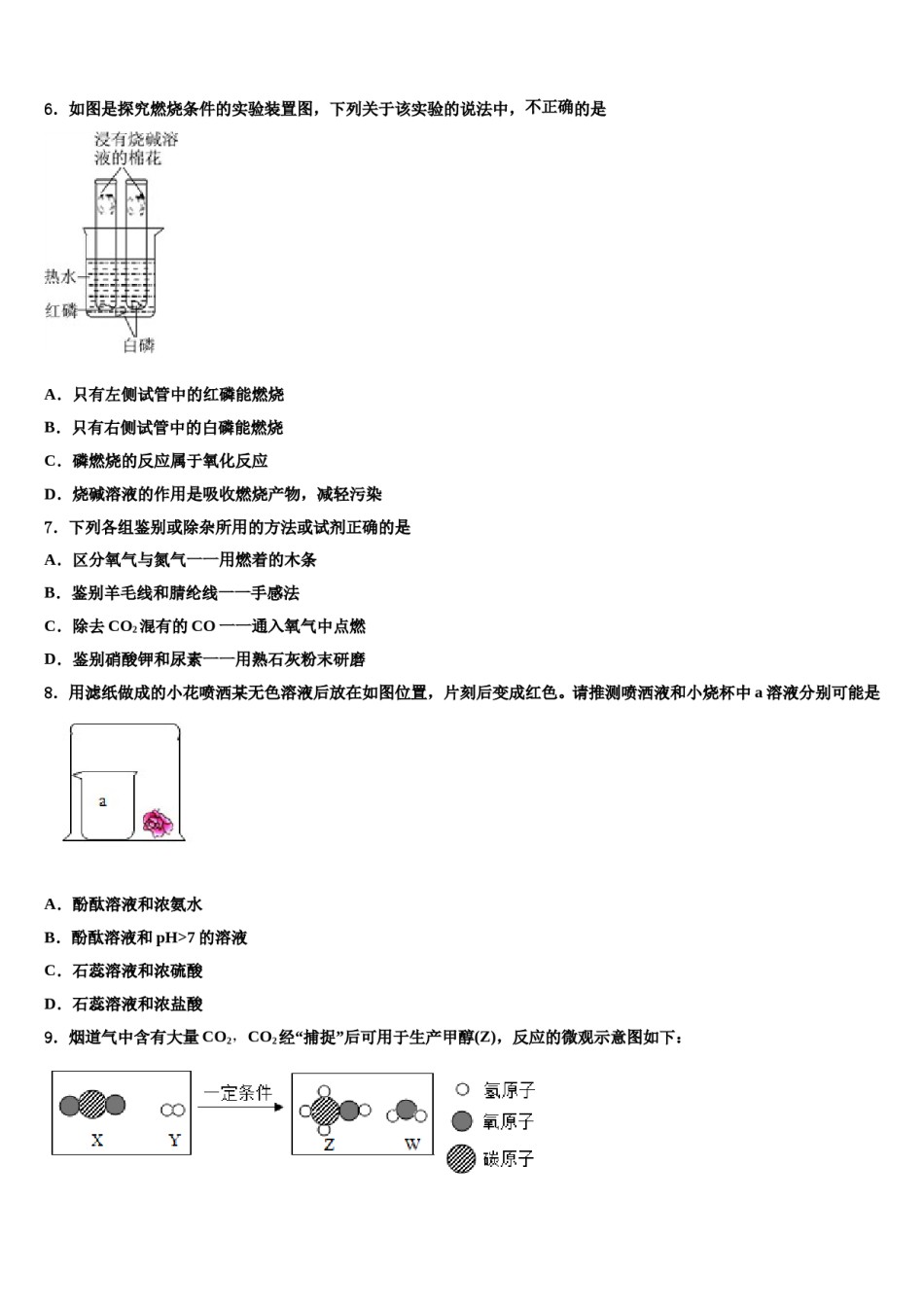 广东省肇庆市高要区金利镇朝阳教育集团2024届中考化学全真模拟试题含解析.doc_第2页