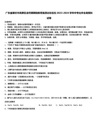 广东省肇庆市高要区金利镇朝阳教育集团达标名校2023-2024学年中考化学全真模拟试卷含解析.doc