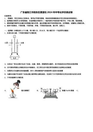 广东省阳江市阳东区星重校2024年中考化学仿真试卷含解析.doc