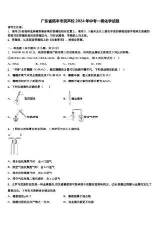 广东省陆丰市民声校2024年中考一模化学试题含解析.doc