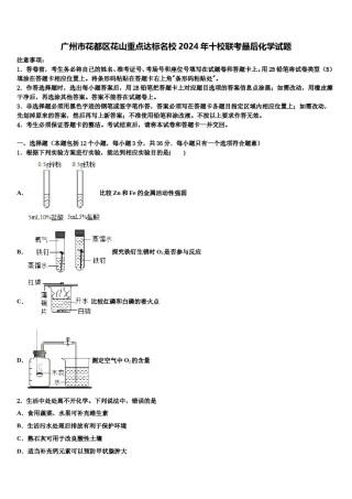 广州市花都区花山重点达标名校2024年十校联考最后化学试题含解析.doc