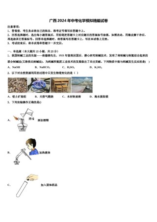 广西2024年中考化学模拟精编试卷含解析.doc