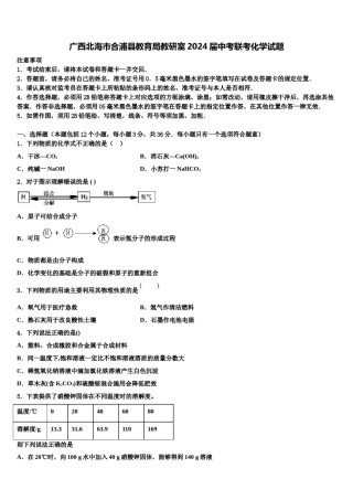 广西北海市合浦县教育局教研室2024届中考联考化学试题含解析.doc