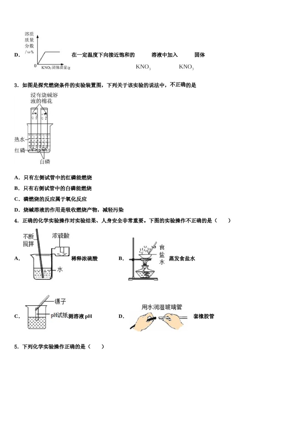 广西北部湾中学等校2024届中考化学考试模拟冲刺卷含解析.doc_第2页