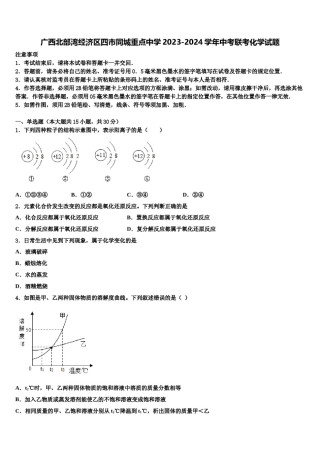 广西北部湾经济区四市同城重点中学2023-2024学年中考联考化学试题含解析.doc