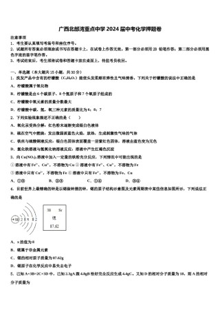 广西北部湾重点中学2024届中考化学押题卷含解析.doc