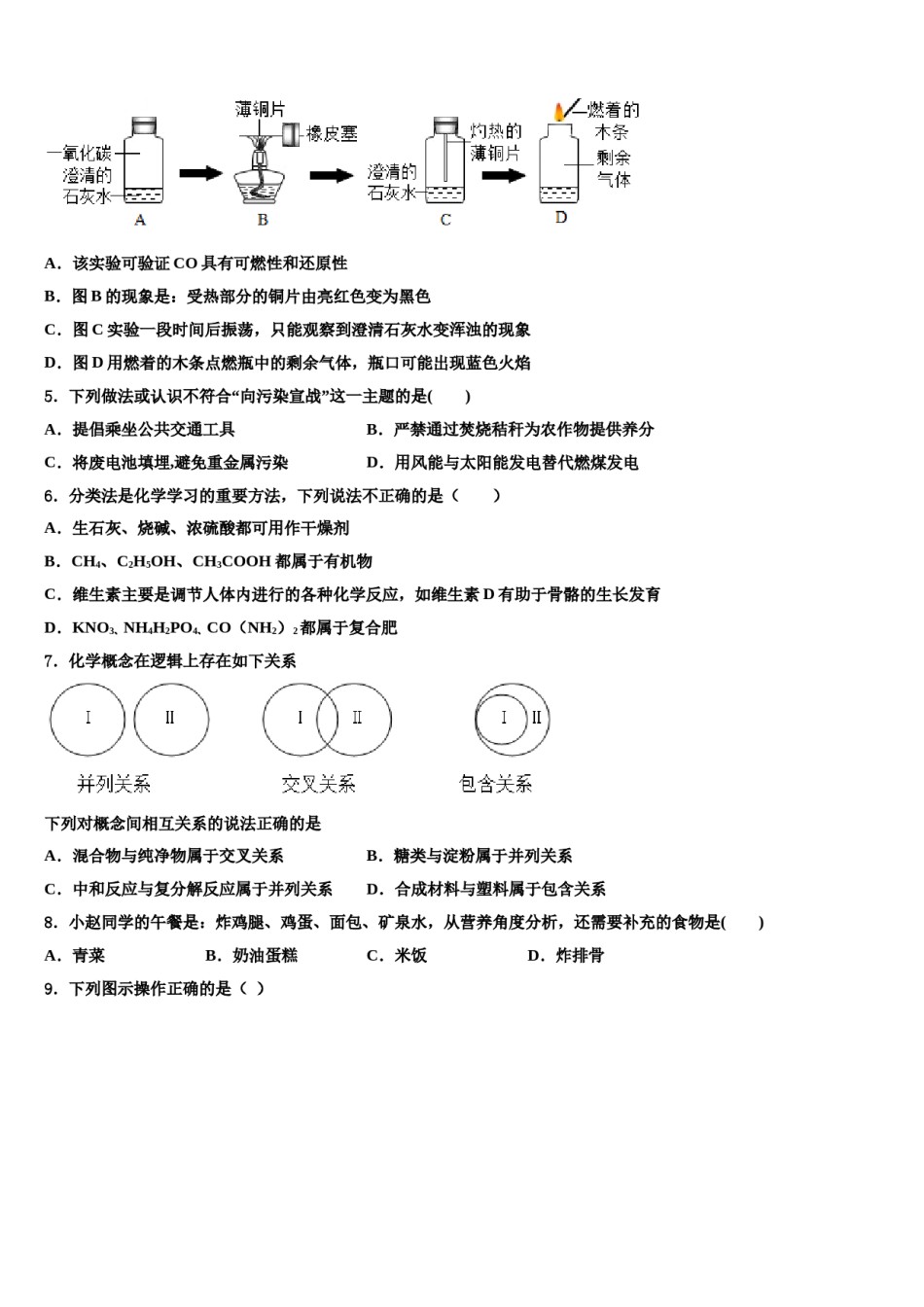 广西南宁市西大附中2024年中考化学最后冲刺模拟试卷含解析.doc_第2页