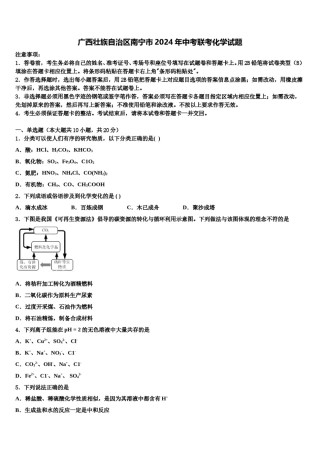广西壮族自治区南宁市2024年中考联考化学试题含解析.doc