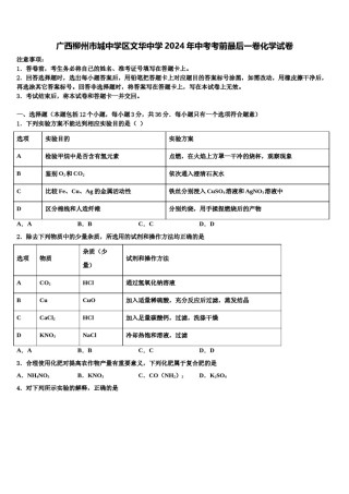 广西柳州市城中学区文华中学2024年中考考前最后一卷化学试卷含解析.doc
