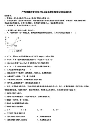 广西桂林市奎光校2024届中考化学考试模拟冲刺卷含解析.doc
