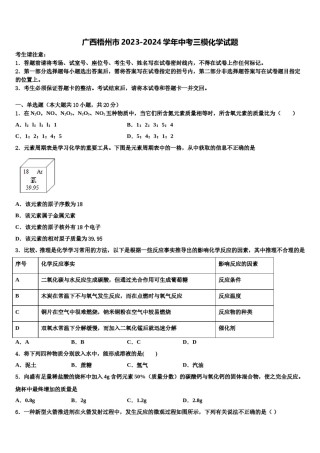 广西梧州市2023-2024学年中考三模化学试题含解析.doc