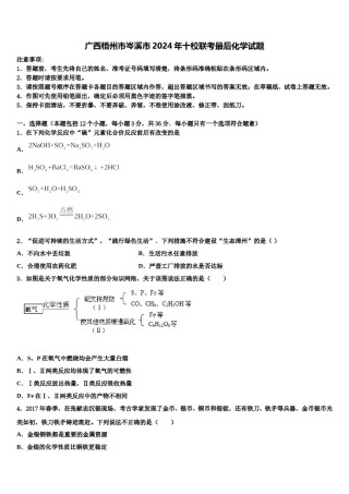 广西梧州市岑溪市2024年十校联考最后化学试题含解析.doc