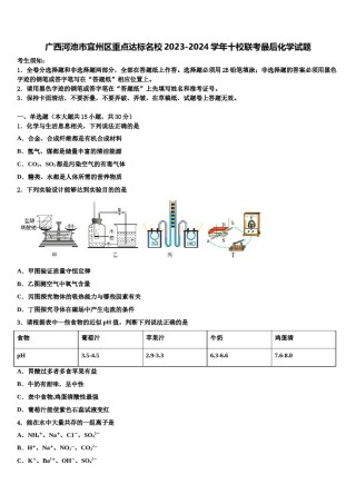 广西河池市宜州区重点达标名校2023-2024学年十校联考最后化学试题含解析.doc