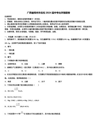 广西省梧州市名校2024届中考化学猜题卷含解析.doc