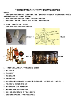 广西防城实验学校2023-2024学年十校联考最后化学试题含解析.doc