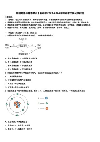 新疆乌鲁木齐市第六十五中学2023-2024学年中考三模化学试题含解析.doc