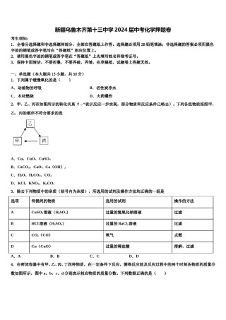 新疆乌鲁木齐第十三中学2024届中考化学押题卷含解析.doc