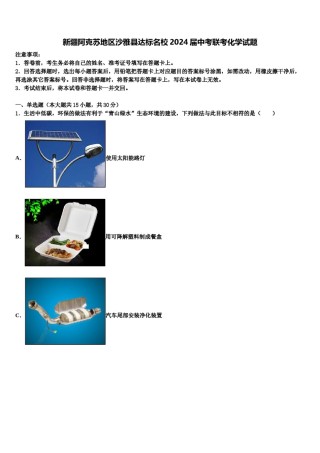 新疆阿克苏地区沙雅县达标名校2024届中考联考化学试题含解析.doc