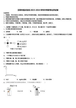 日照市重点名校2023-2024学年中考联考化学试卷含解析.doc
