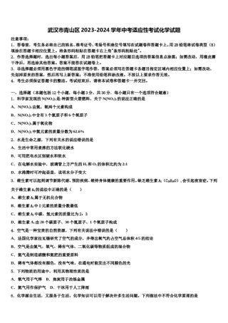 武汉市青山区2023-2024学年中考适应性考试化学试题含解析.doc