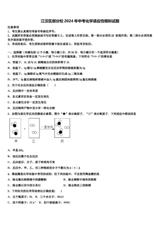 江汉区部分校2024年中考化学适应性模拟试题含解析.doc