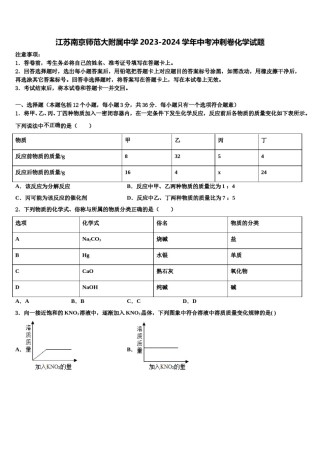 江苏南京师范大附属中学2023-2024学年中考冲刺卷化学试题含解析.doc