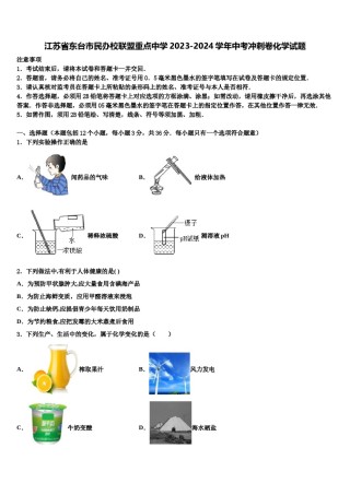 江苏省东台市民办校联盟重点中学2023-2024学年中考冲刺卷化学试题含解析.doc