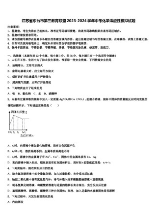 江苏省东台市第三教育联盟2023-2024学年中考化学适应性模拟试题含解析.doc