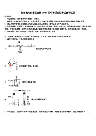 江苏省南京市联合体2024届中考适应性考试化学试题含解析.doc